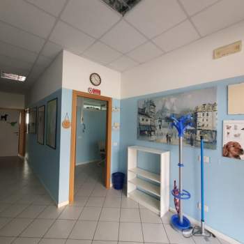 Negozio in vendita a Rovigo (Rovigo)