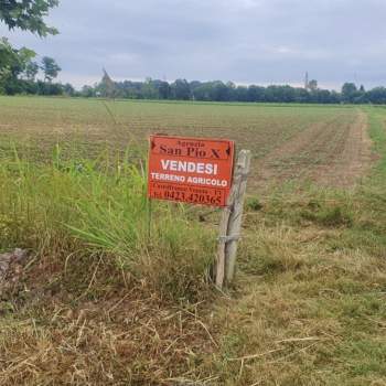 Terreno in vendita a Castelfranco Veneto (Treviso)