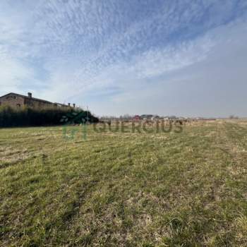 Terreno in vendita a Eraclea (Venezia)