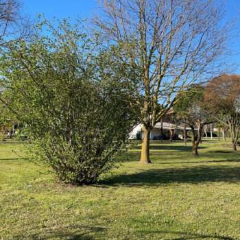 Terreno in vendita a Cavallino-Treporti (Venezia)