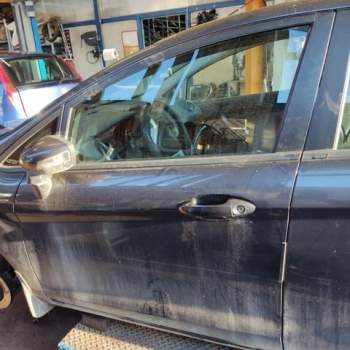 Porta anteriore sx nuda FORD FIESTA  del 2009