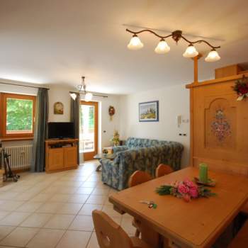 Appartamento in affitto a Auronzo di Cadore (Belluno)