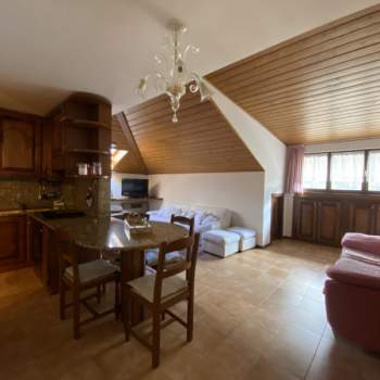 Appartamento in vendita a Auronzo di Cadore (Belluno)