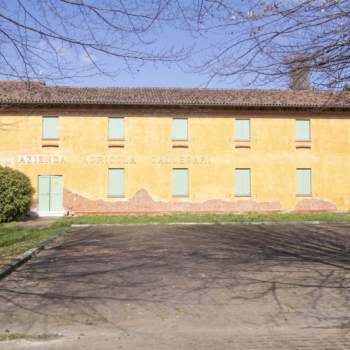 Attivita commerciale in vendita a Mogliano Veneto (Treviso)