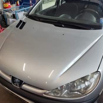 Cofano PEUGEOT 206  del 2003