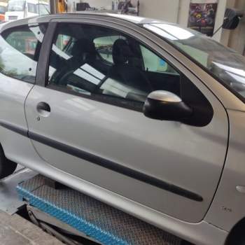 Porta anteriore dx nuda PEUGEOT 206  del 2003