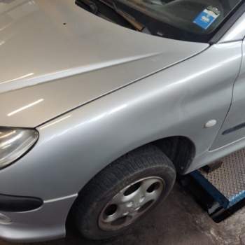 Parafango sinistro PEUGEOT 206  del 2003