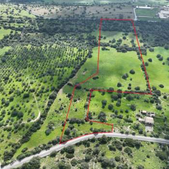 Terreno in vendita a Ragusa (Ragusa)