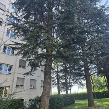 Appartamento in vendita a Parma (Parma)
