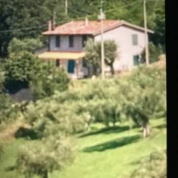 Appartamento in vendita a Pesaro (Pesaro e Urbino)
