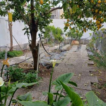 Appartamento in vendita a Boscoreale (Napoli)
