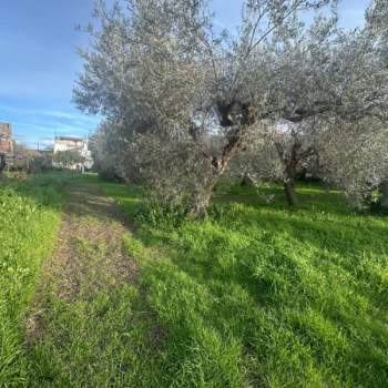 Terreno in vendita a Pace del Mela (Messina)