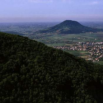 Attivita commerciale in vendita a Monselice (Padova)