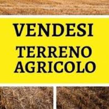 Terreno in vendita a Piove di Sacco (Padova)