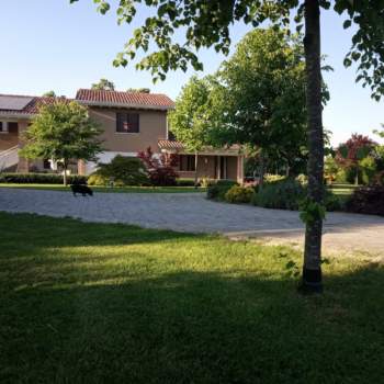 Bed and breakfast in vendita a Correzzola (Padova)