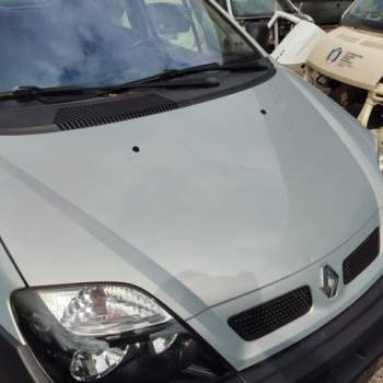 Cofano RENAULT MEGANE SCENIC RX4  del 2001
