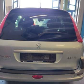 Portellone nudo PEUGEOT 206  del 2004