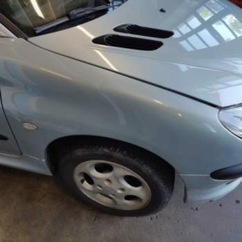 Parafango destro PEUGEOT 206  del 2004