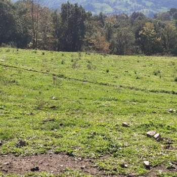Terreno in vendita a Caronia (ME)