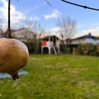 Ponte della Priula Villa Bifamiliare in Vendita 783 PDP a Susegana