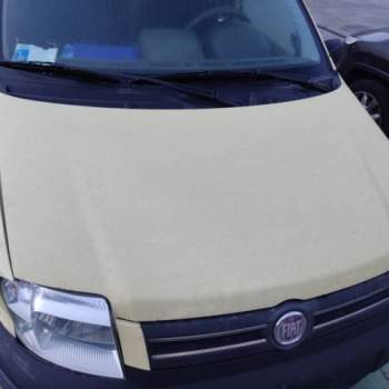 Cofano FIAT PANDA  del 2008