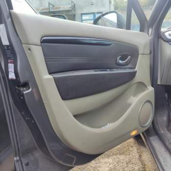 Pannello porta ant sx RENAULT SCENIC  del 2010