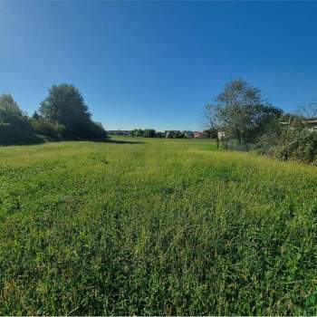 TERRENO AGRICOLO a Pieve di Soligo