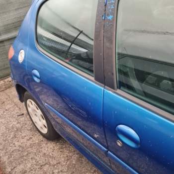 Porta posteriore dx PEUGEOT 206  del 2007