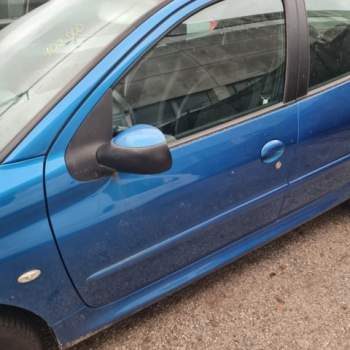 Porta anteriore sx nuda PEUGEOT 206  del 2007