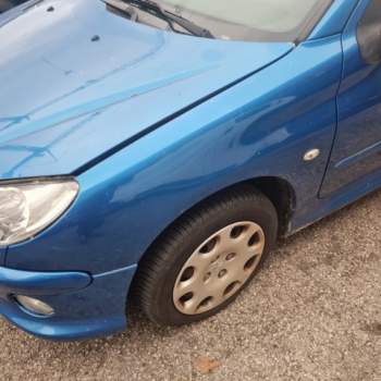 Parafango sinistro PEUGEOT 206  del 2007