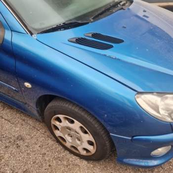 Parafango destro PEUGEOT 206  del 2007