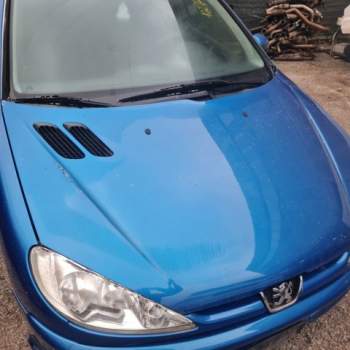 Cofano PEUGEOT 206  del 2007
