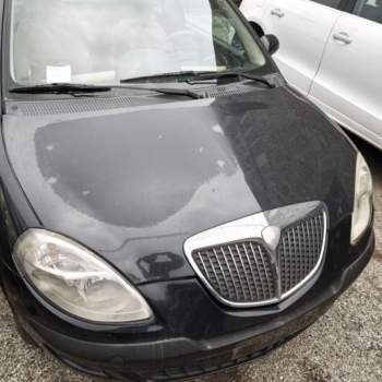 Cofano LANCIA YPSILON  del 2004