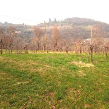 Rustico in vendita a Isola Vicentina (Vicenza)