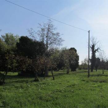 LOTTO DI TERRENO EDIFICABILE a Vittorio Veneto
