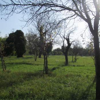 TERRENO EDIFICABILE a Vittorio Veneto