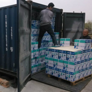Double A4, cancelleria per ufficio, paperone, xerox, chamex, paperline, Ik plus,