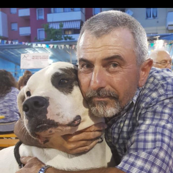 Cerco una  compagna