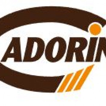 Ricerca ragioniera presso CADORIN GROUP  produzione parquet Possagno