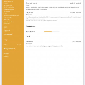 Cerco lavoro bar/ cameriera