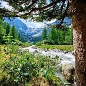 Bed and breakfast in vendita a Pinzolo (Trento)