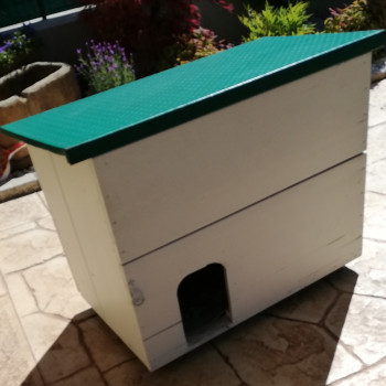 Vendo casetta cane