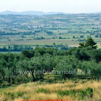 Terreno in vendita a Collazzone (Perugia)