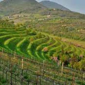 Bed and breakfast in vendita a Zovencedo (Vicenza)