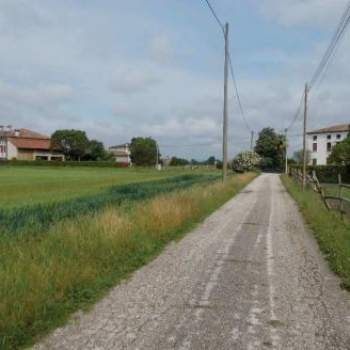 Terreno in vendita a Gazzo (Padova)