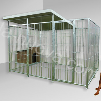 Box per cani