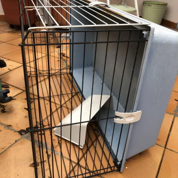 Regalo cuccia per coniglietti. Usata ma funzionante. 